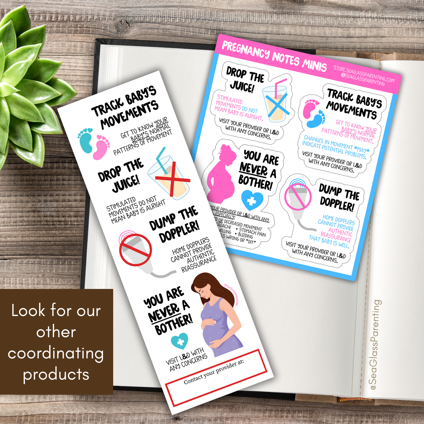 Pregnancy Notes (Bulk Order)—Informed Pregnancy and Stillbirth Prevention (non-laminated bookmark)