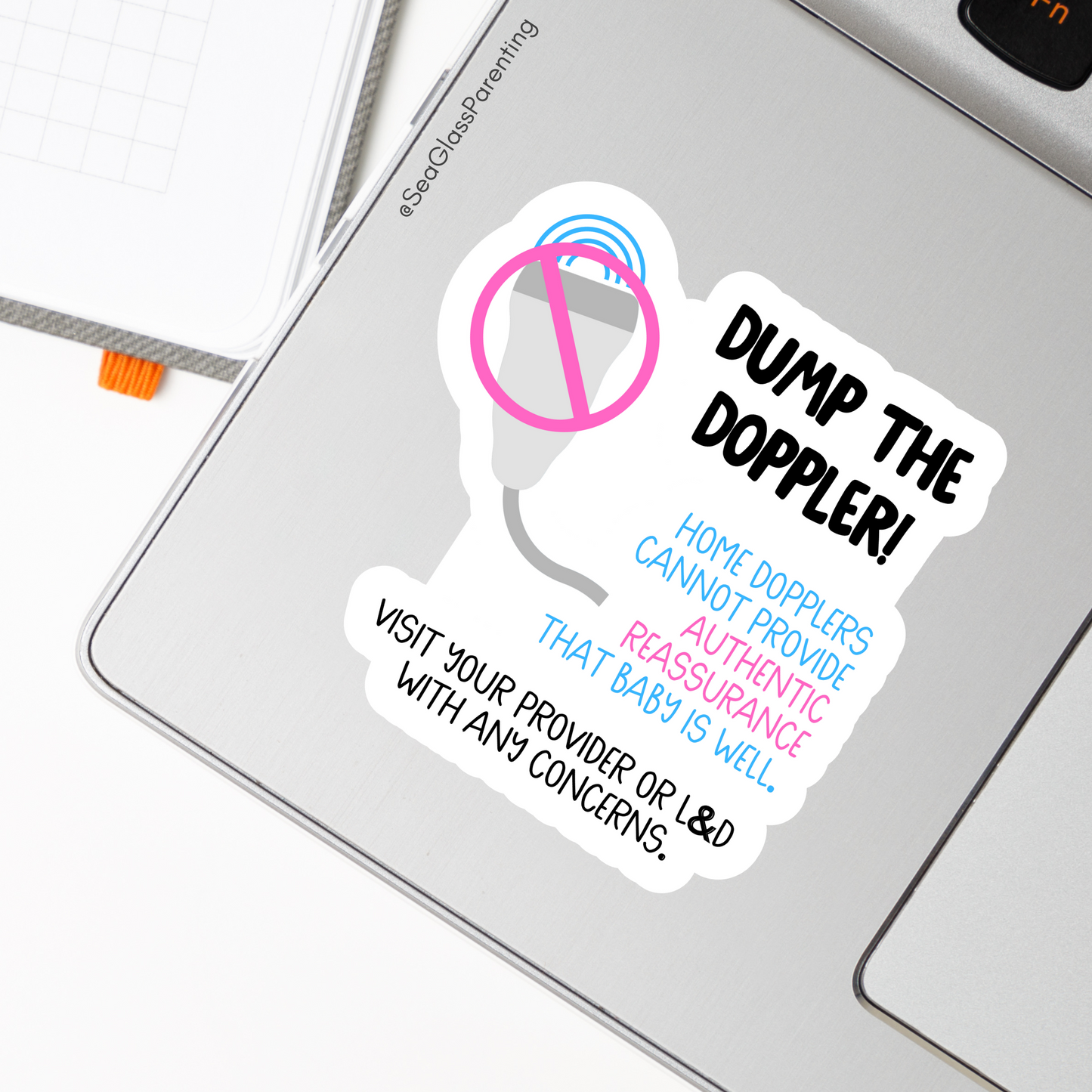 Pregnancy Notes Minis—Informed Pregnancy (mini vinyl sticker sheet)