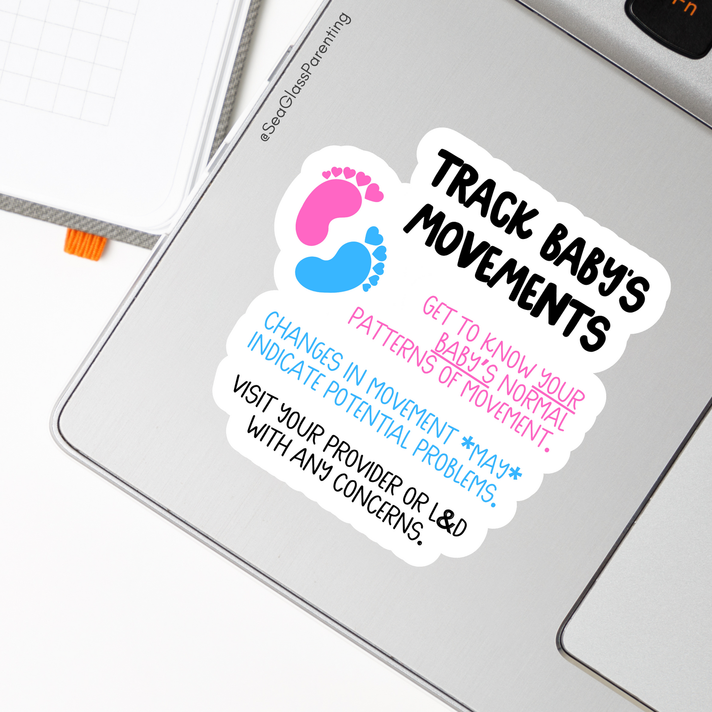Pregnancy Notes: Track Baby's Movements—Informed Pregnancy and Stillbirth Prevention (vinyl sticker)